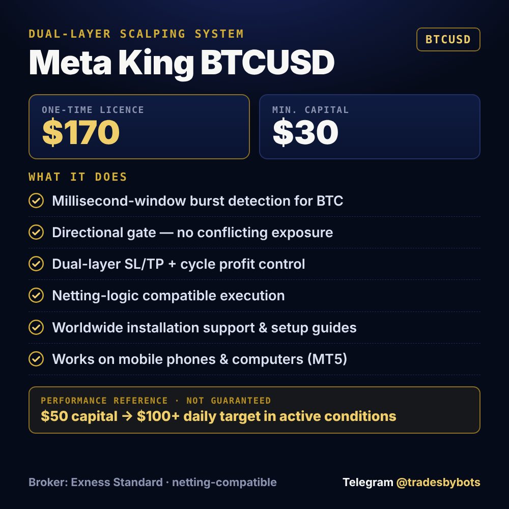 Meta King BTCUSD — full details